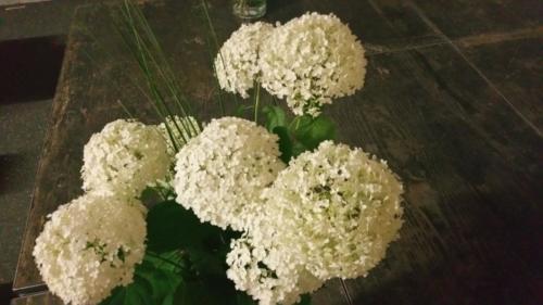 Blumenpracht zum Jubiläum
